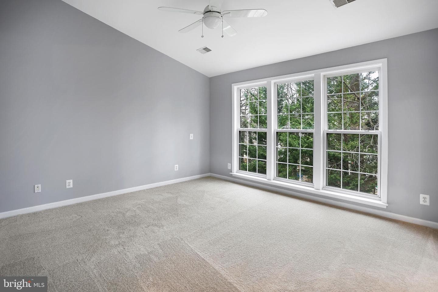 4046 Timber Oak Trail photo 20
