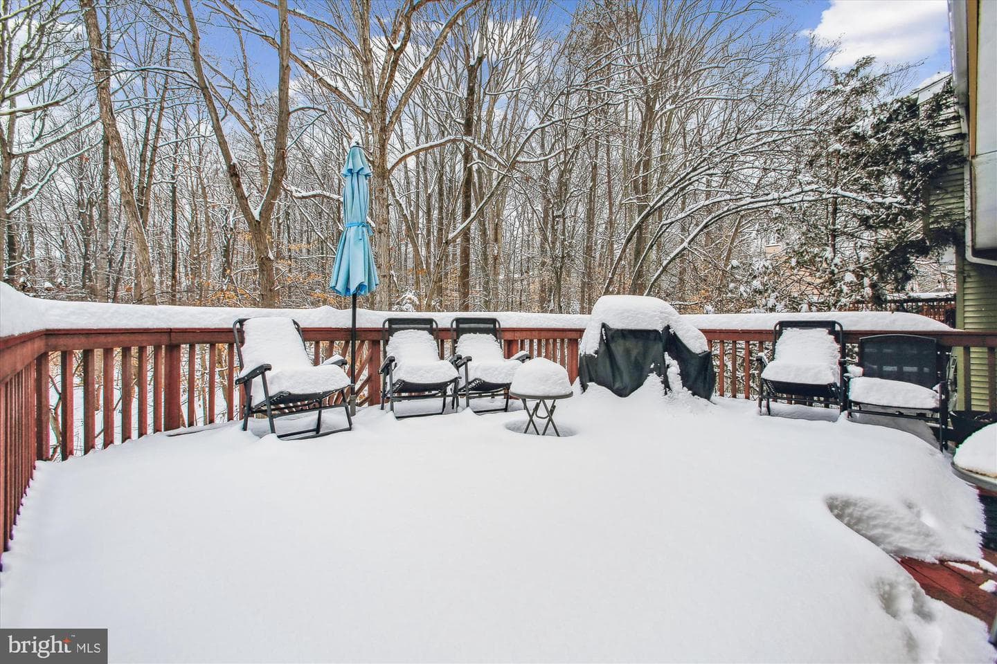 8192 Curving Creek Court photo 22