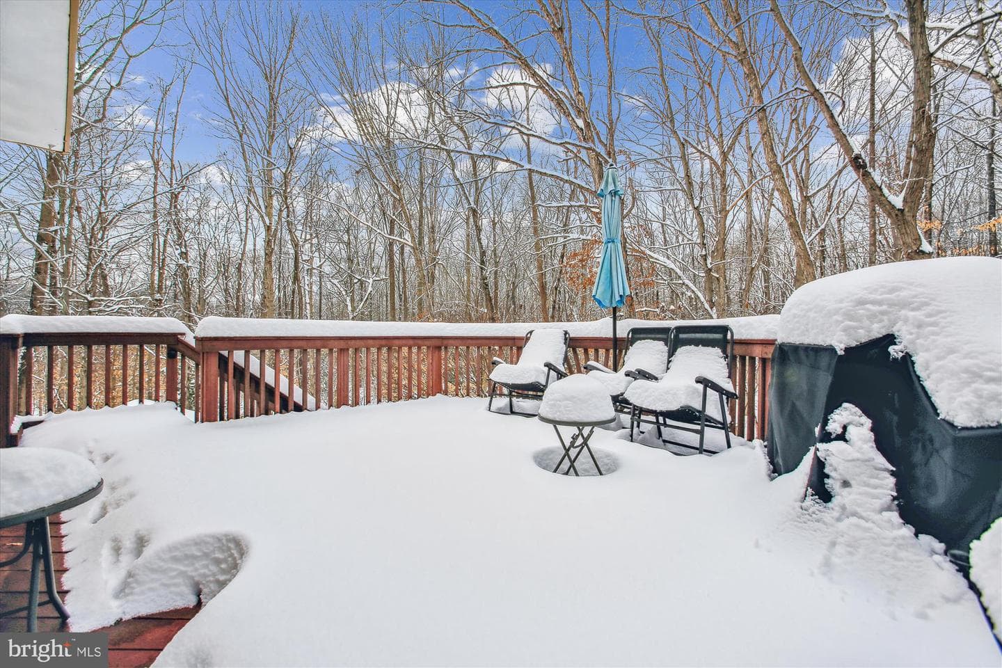 8192 Curving Creek Court photo 23