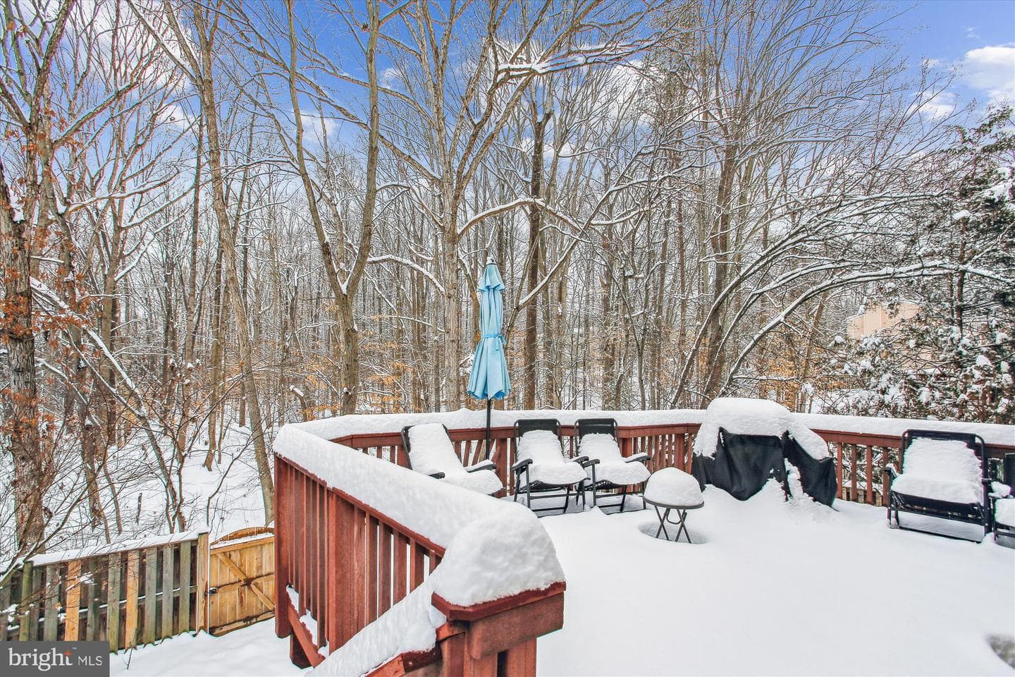 8192 Curving Creek Court photo 42
