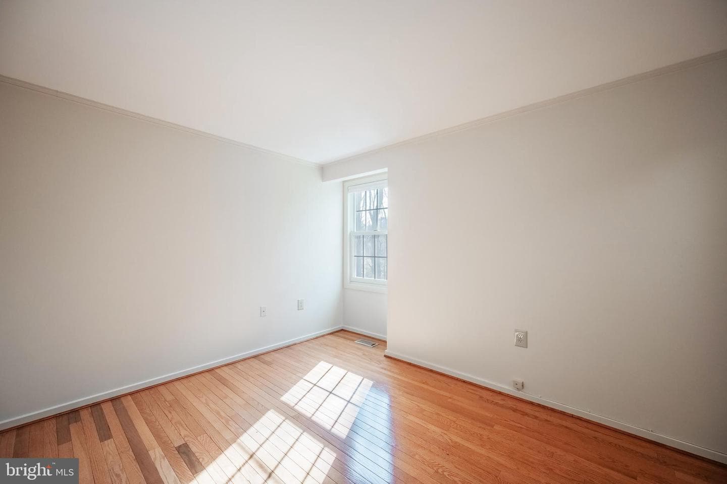 11229 Hunting Horn Lane photo 36