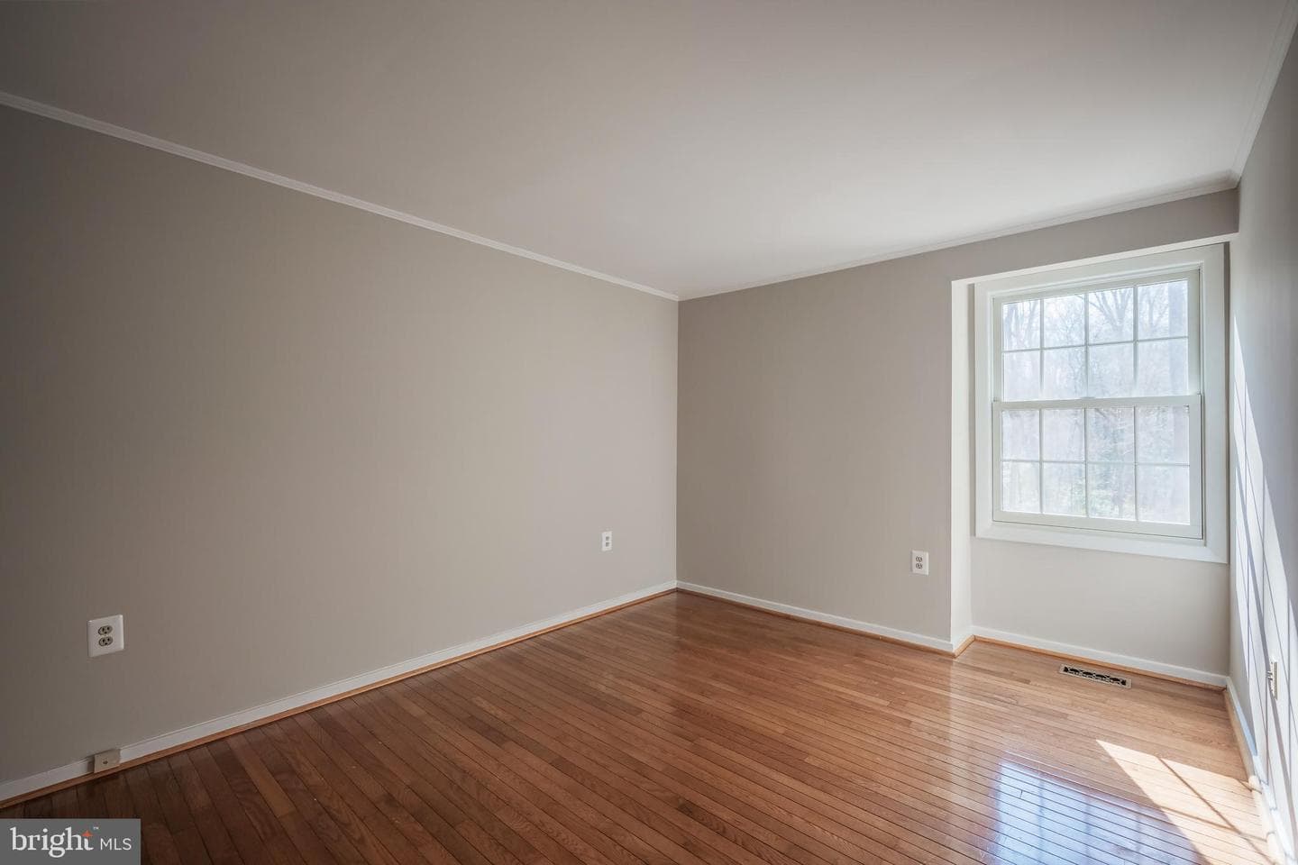 11229 Hunting Horn Lane photo 41