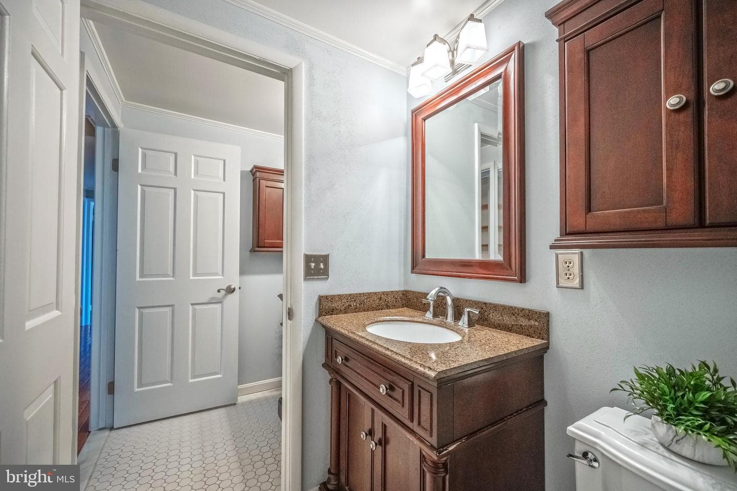 11229 Hunting Horn Lane photo 45