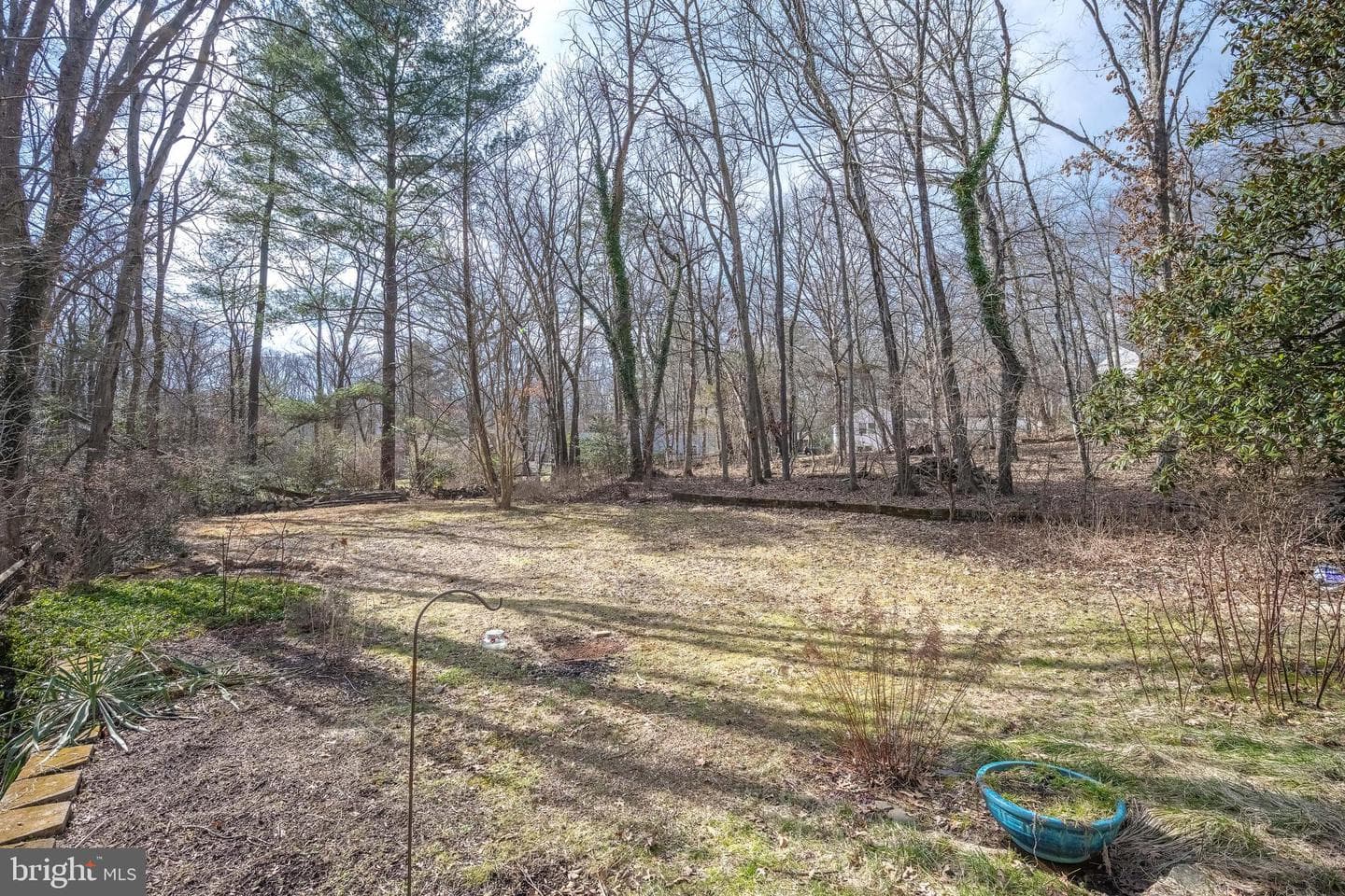 11229 Hunting Horn Lane photo 61