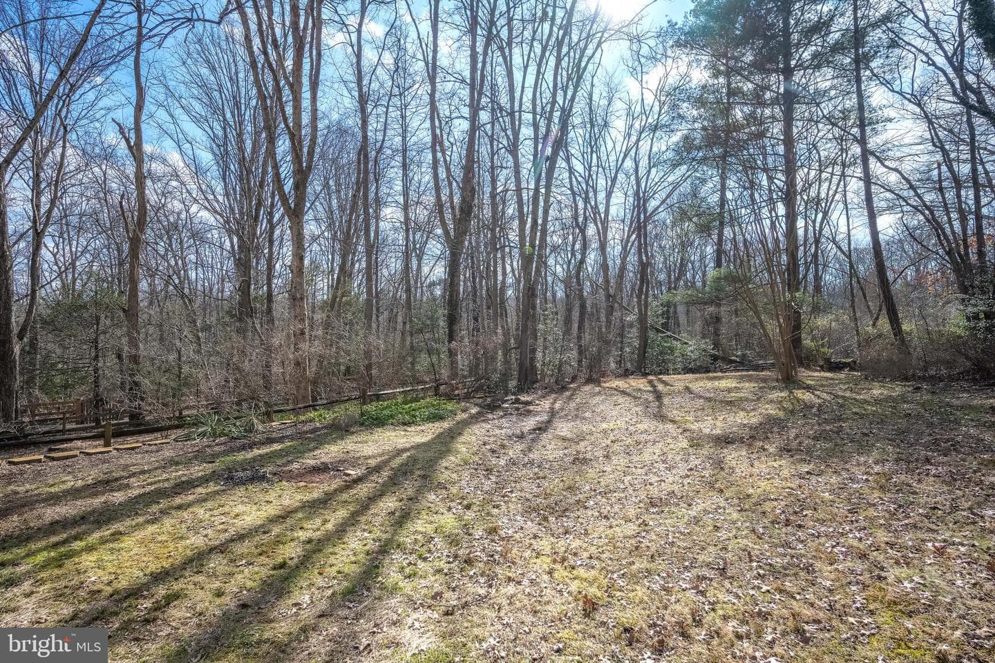 11229 Hunting Horn Lane photo 62