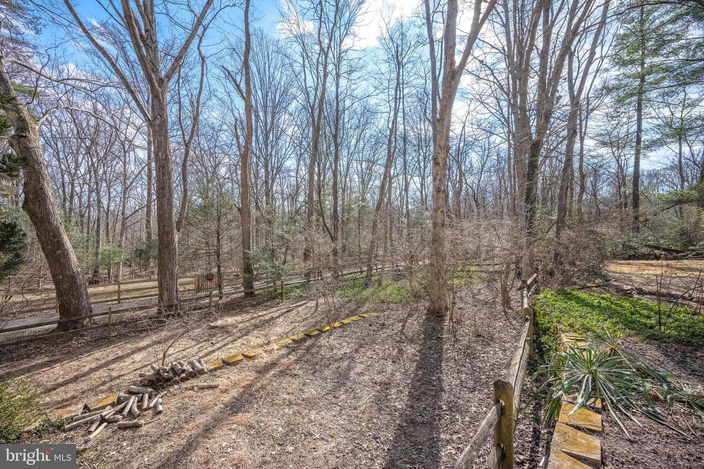 11229 Hunting Horn Lane photo 63
