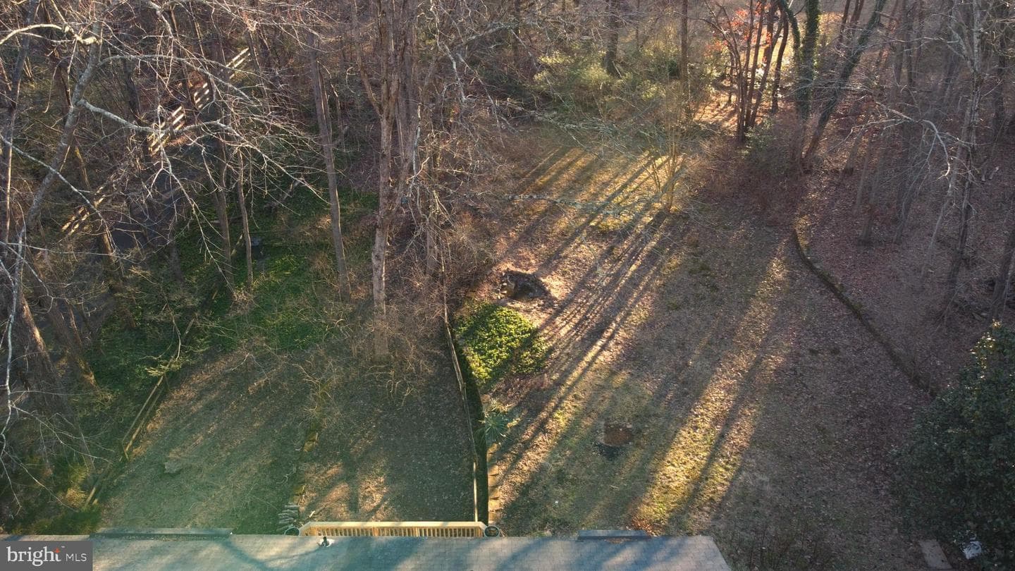11229 Hunting Horn Lane photo 64