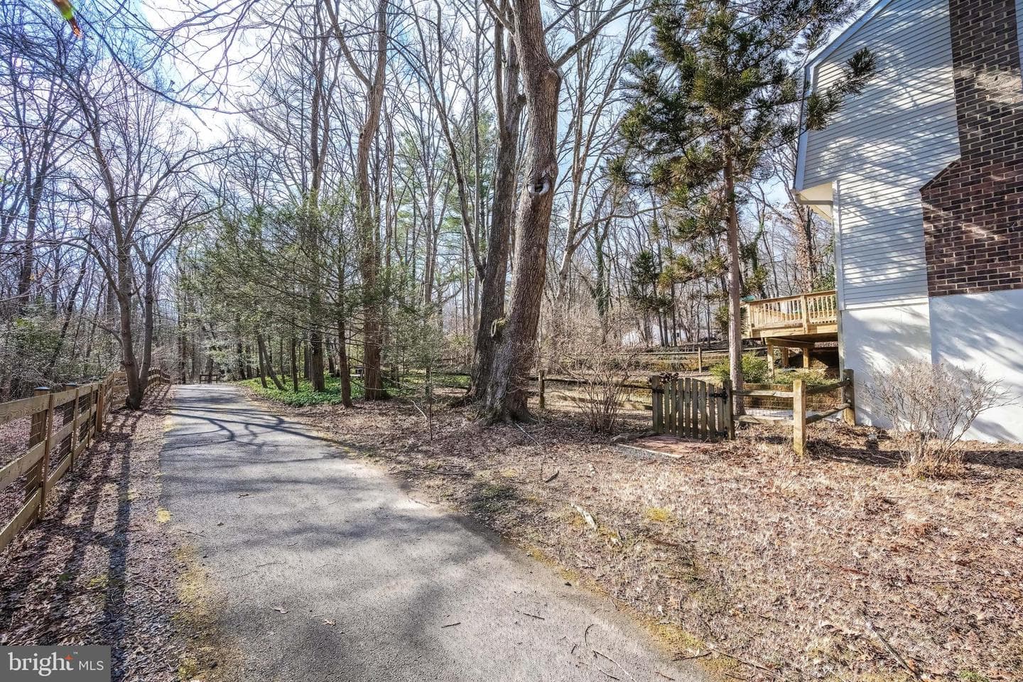 11229 Hunting Horn Lane photo 66