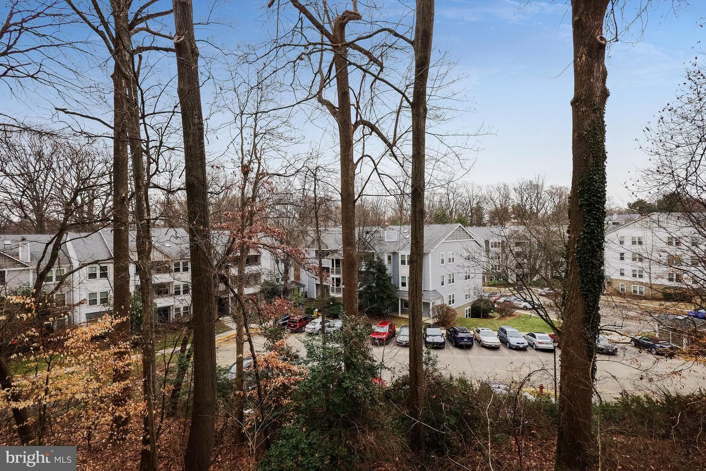 4355 Ivymount Court #14 photo 17