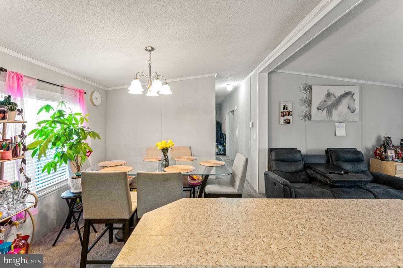 14509 Northeast Place photo 13