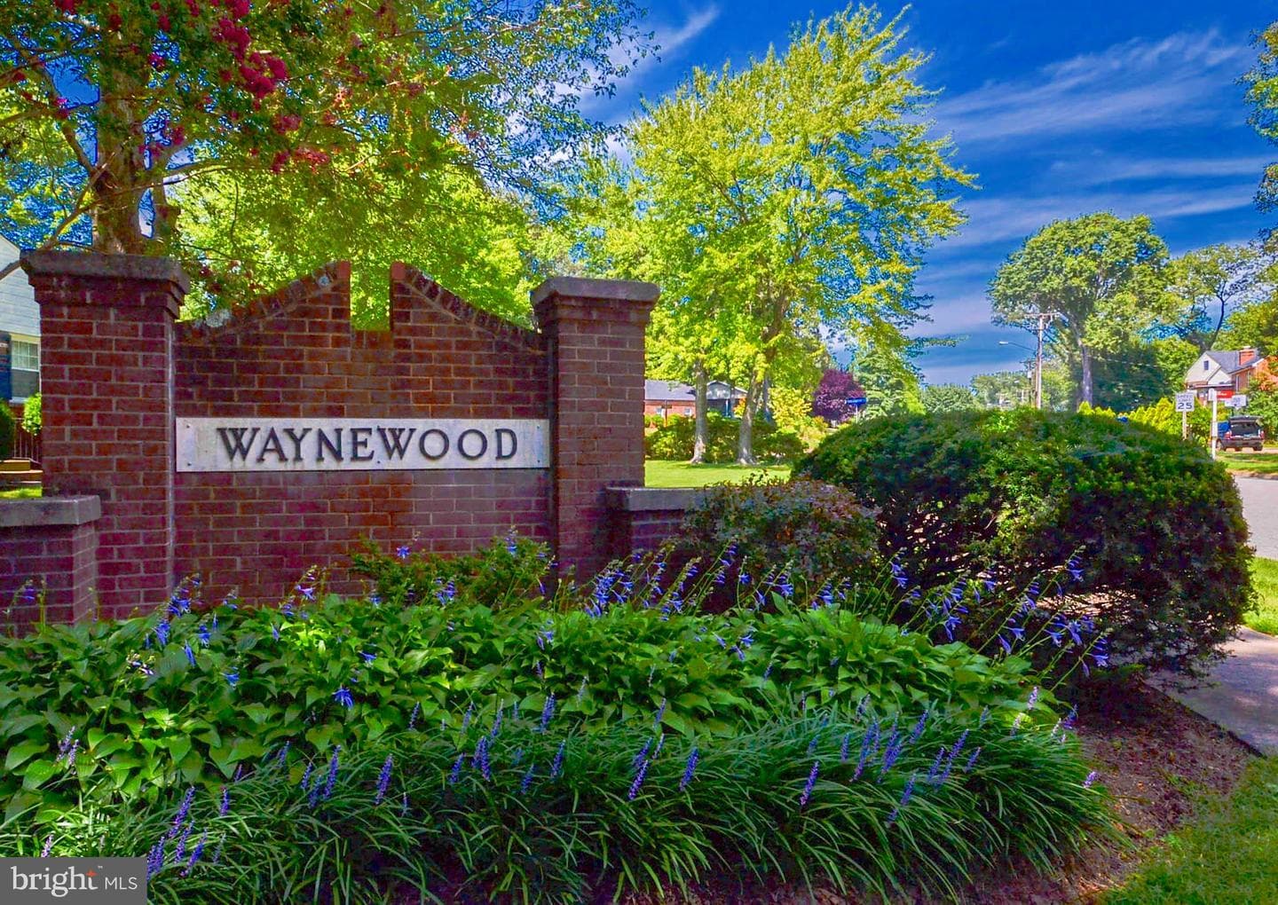 8605 Cyrus Place photo 46