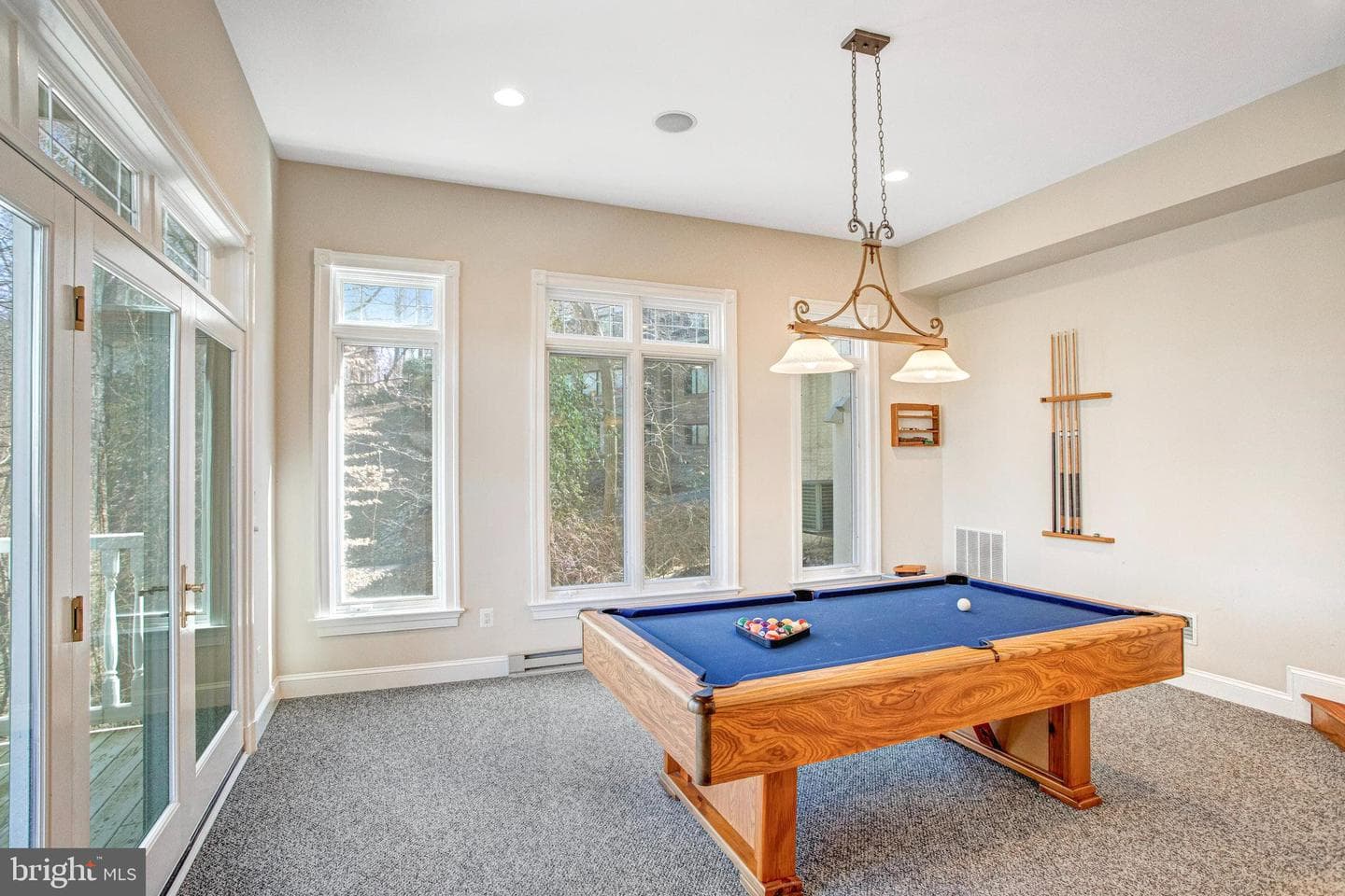 7024 Green Oak Drive photo 101