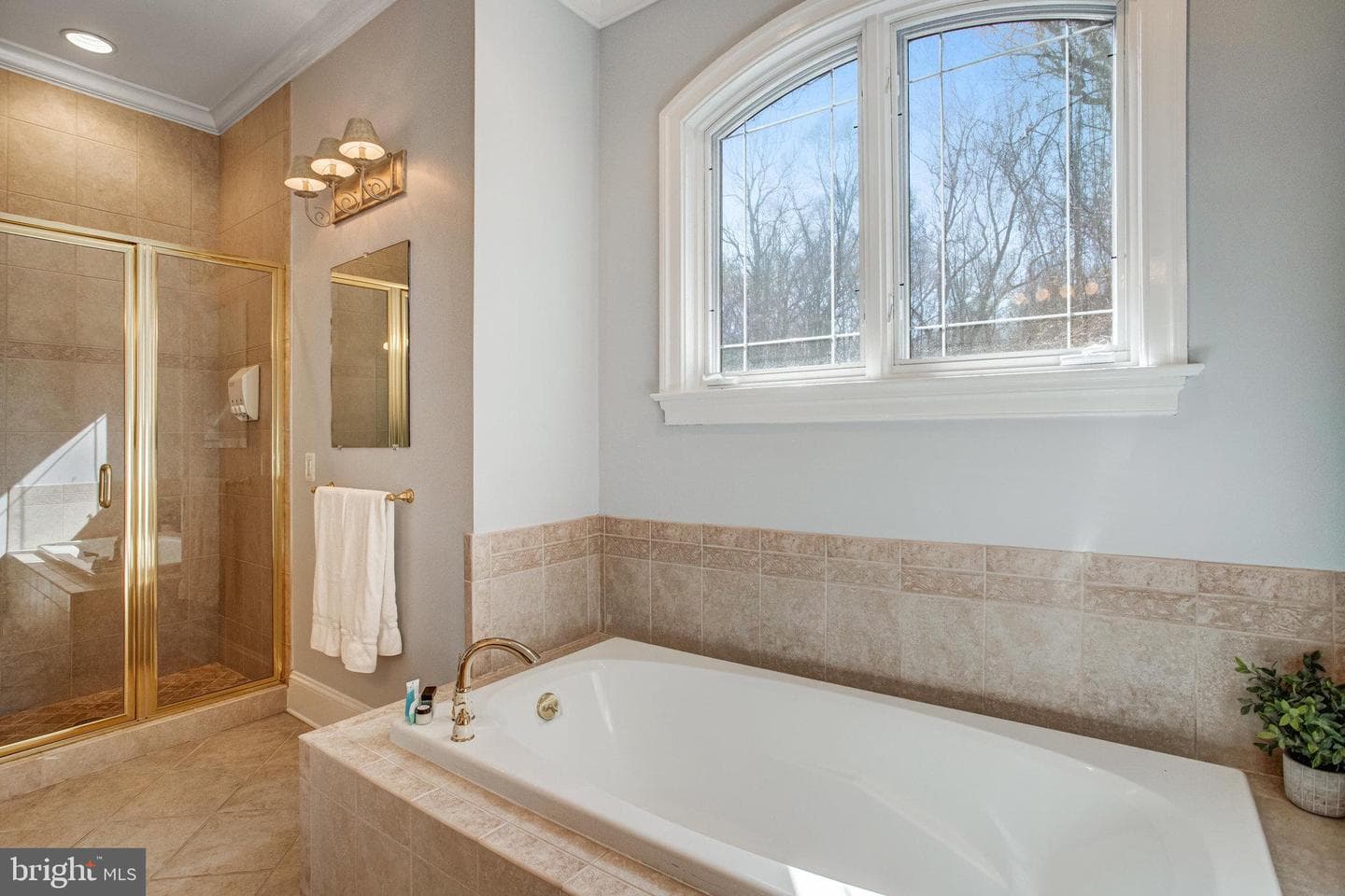 7024 Green Oak Drive photo 43