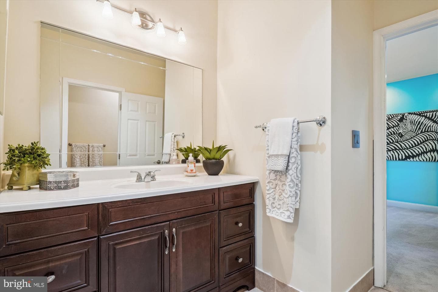 1212 Shenandoah Road photo 57