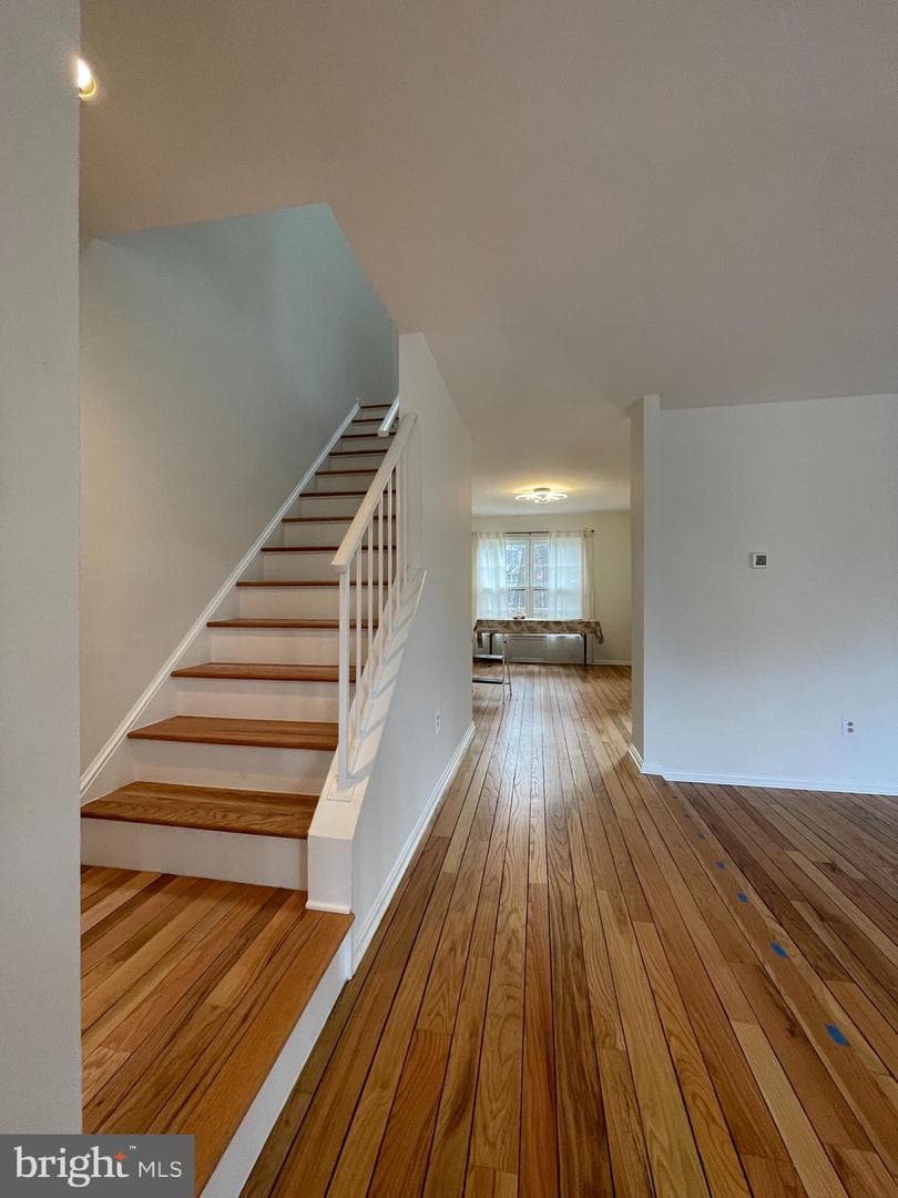 12206 Apple Orchard Court photo 10