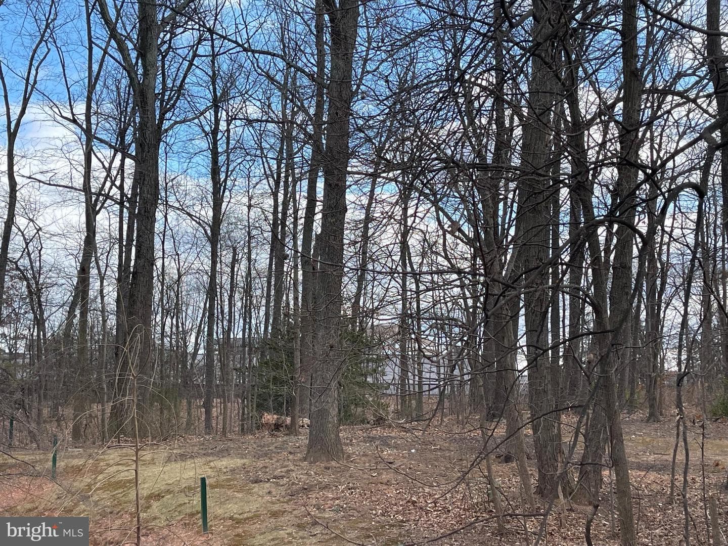 12206 Apple Orchard Court photo 18