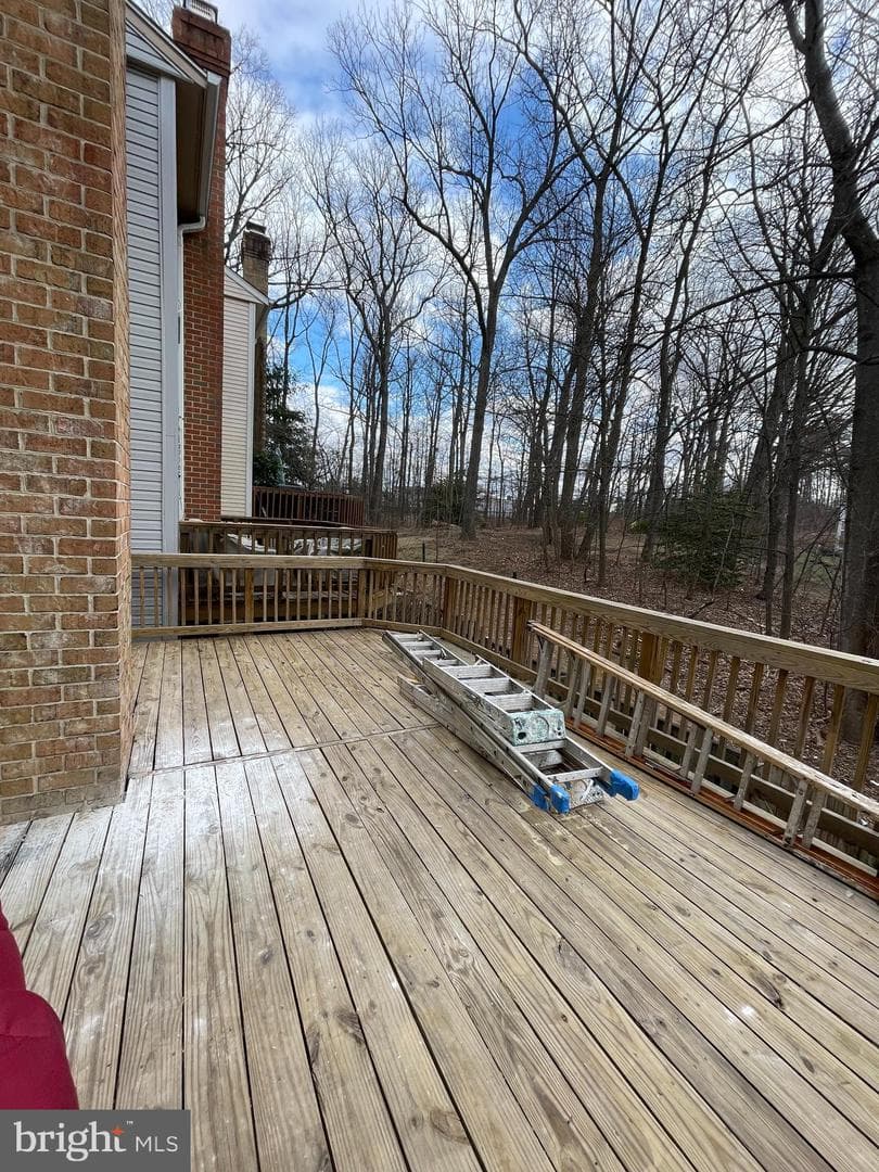 12206 Apple Orchard Court photo 20