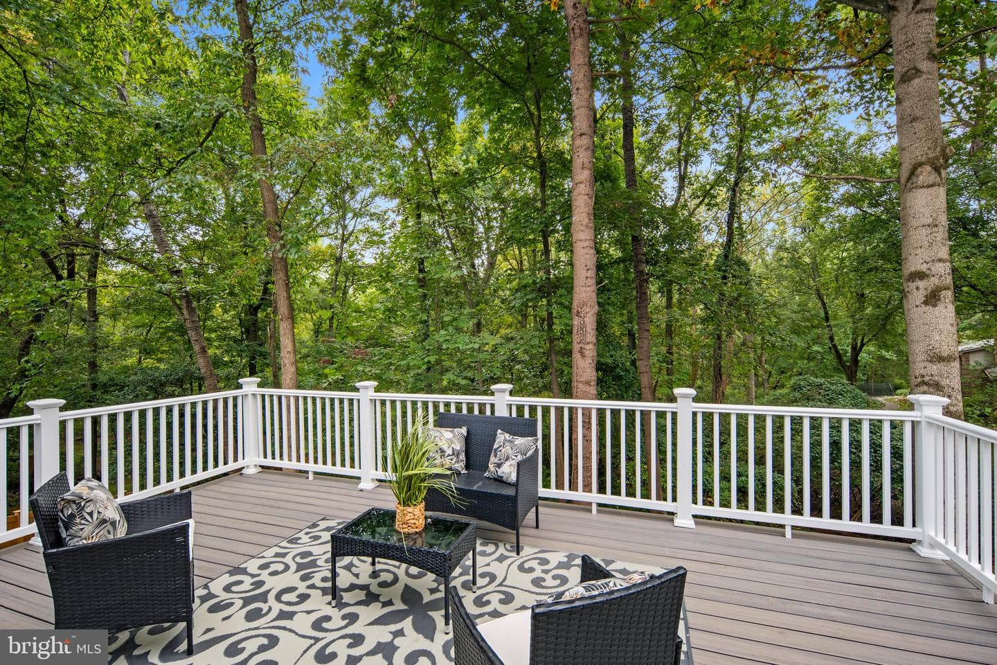 9817 Bridleridge Court photo 24