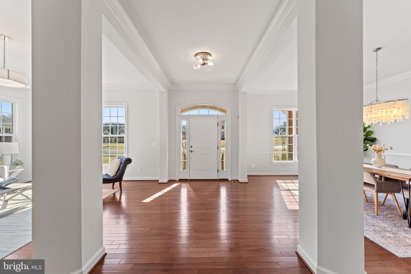 10259 Forest Lake Drive photo 12