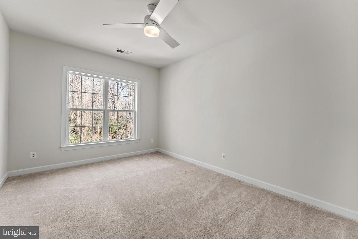 10259 Forest Lake Drive photo 53