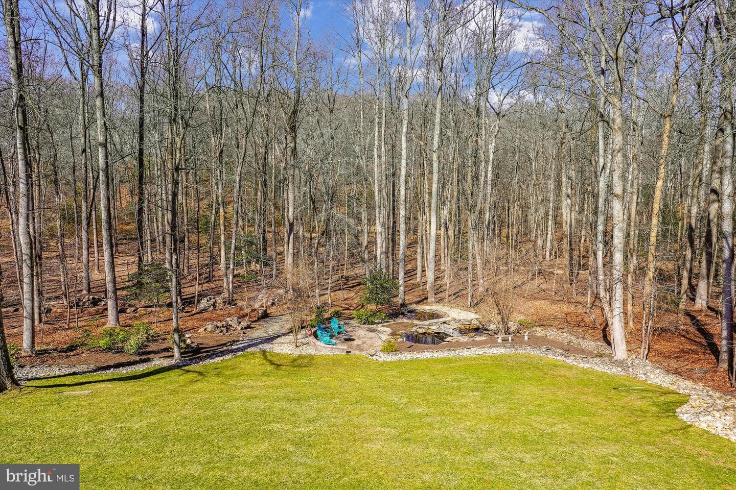 11226 Timberline Drive photo 20
