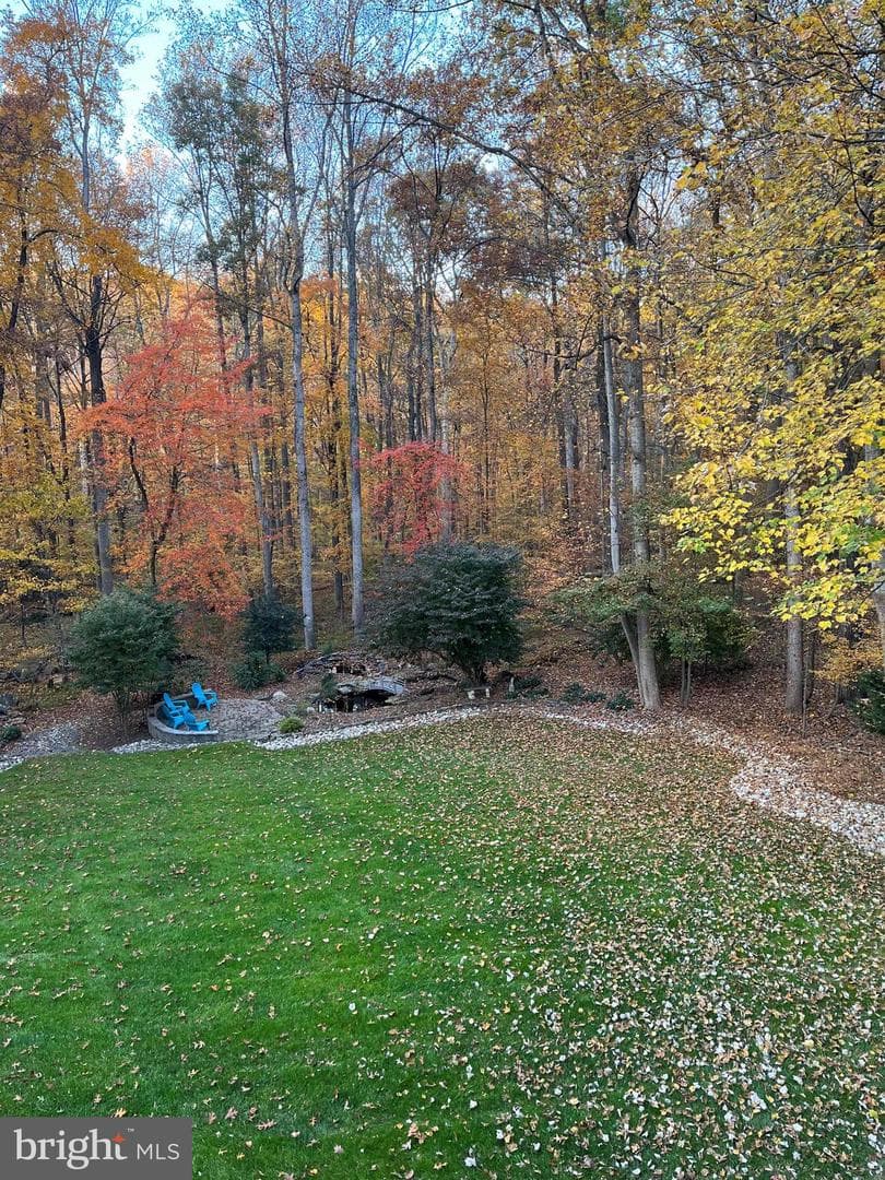 11226 Timberline Drive photo 73