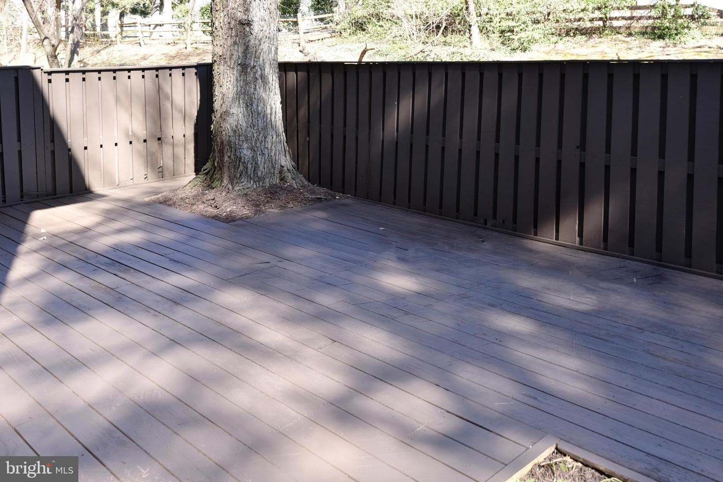 11040 Saffold Way photo 40