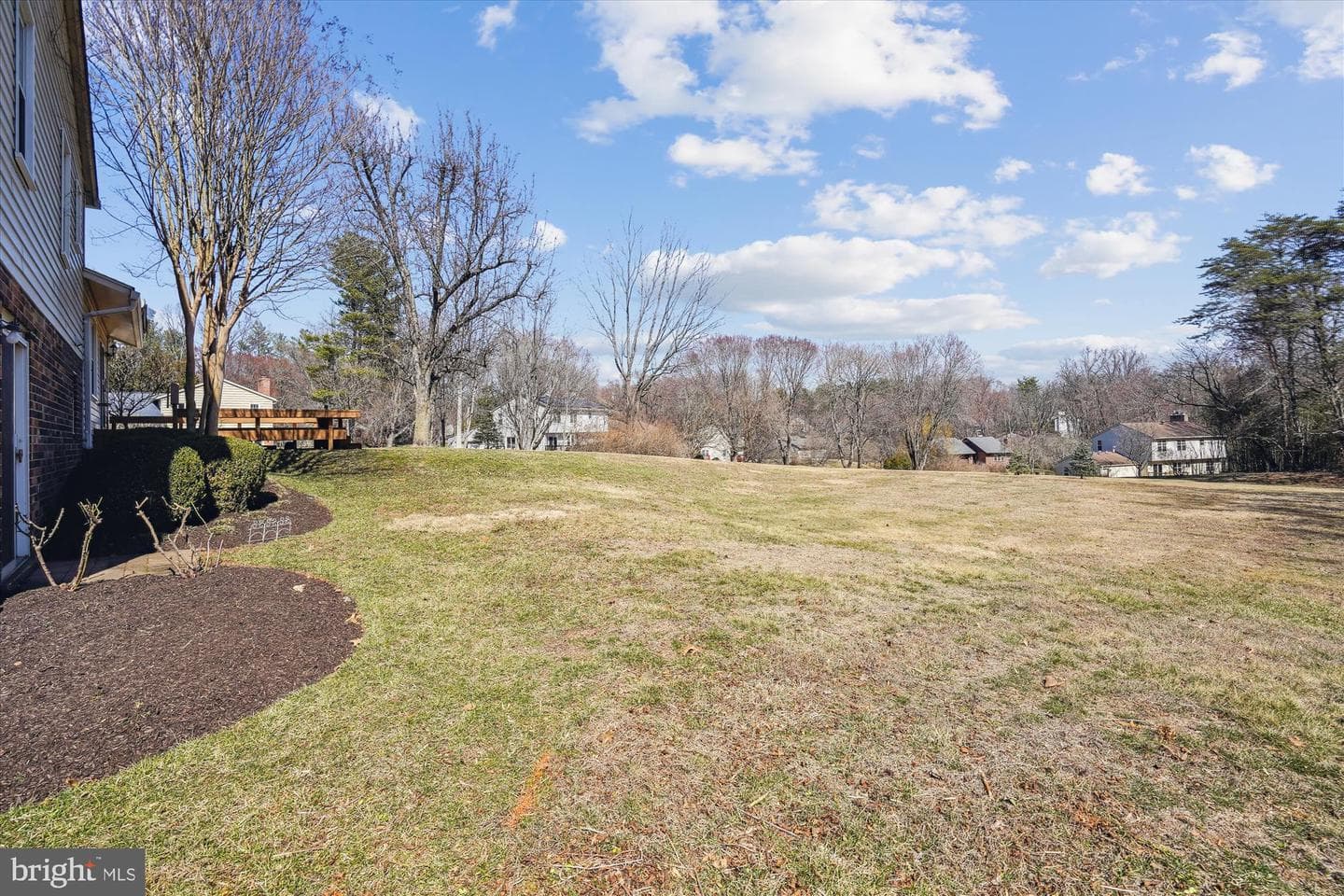10525 Brevity Drive photo 20