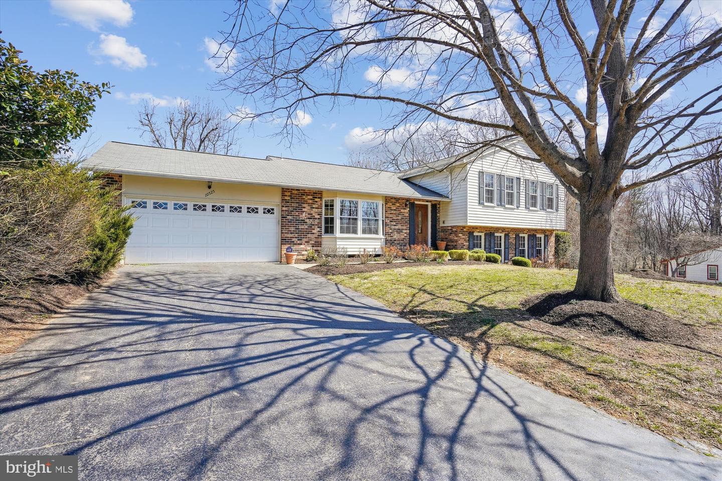10525 Brevity Drive photo 41