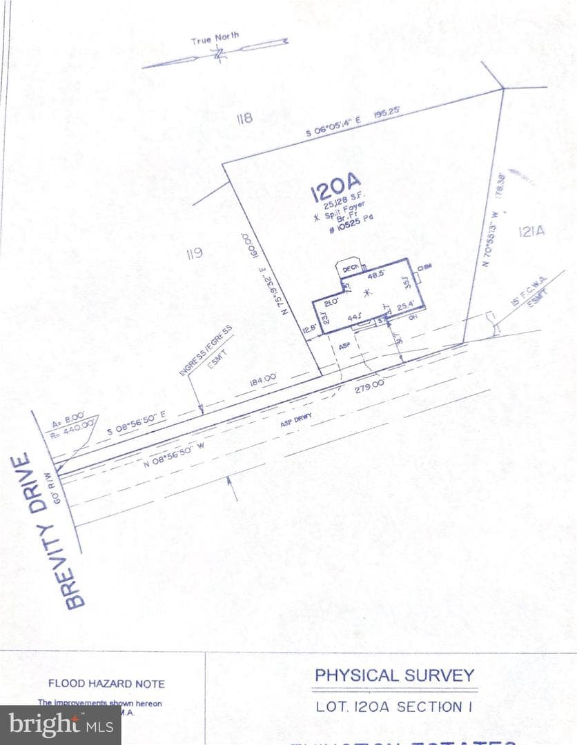 10525 Brevity Drive photo 44