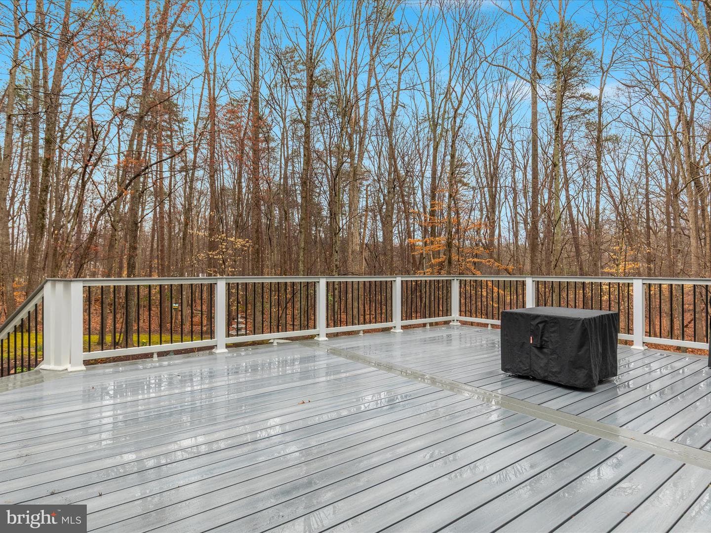 11701 Henderson Road photo 37