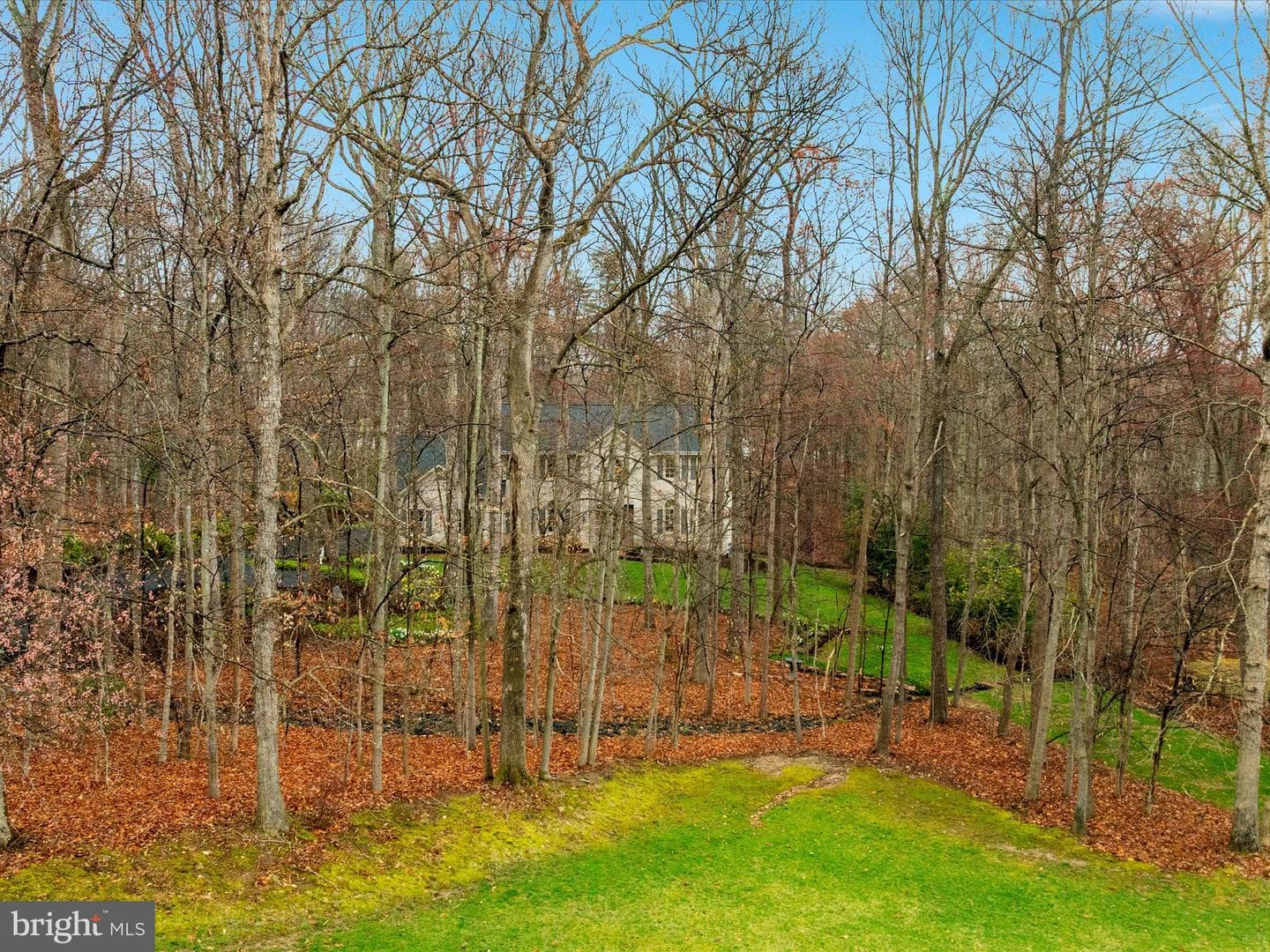 11701 Henderson Road photo 57