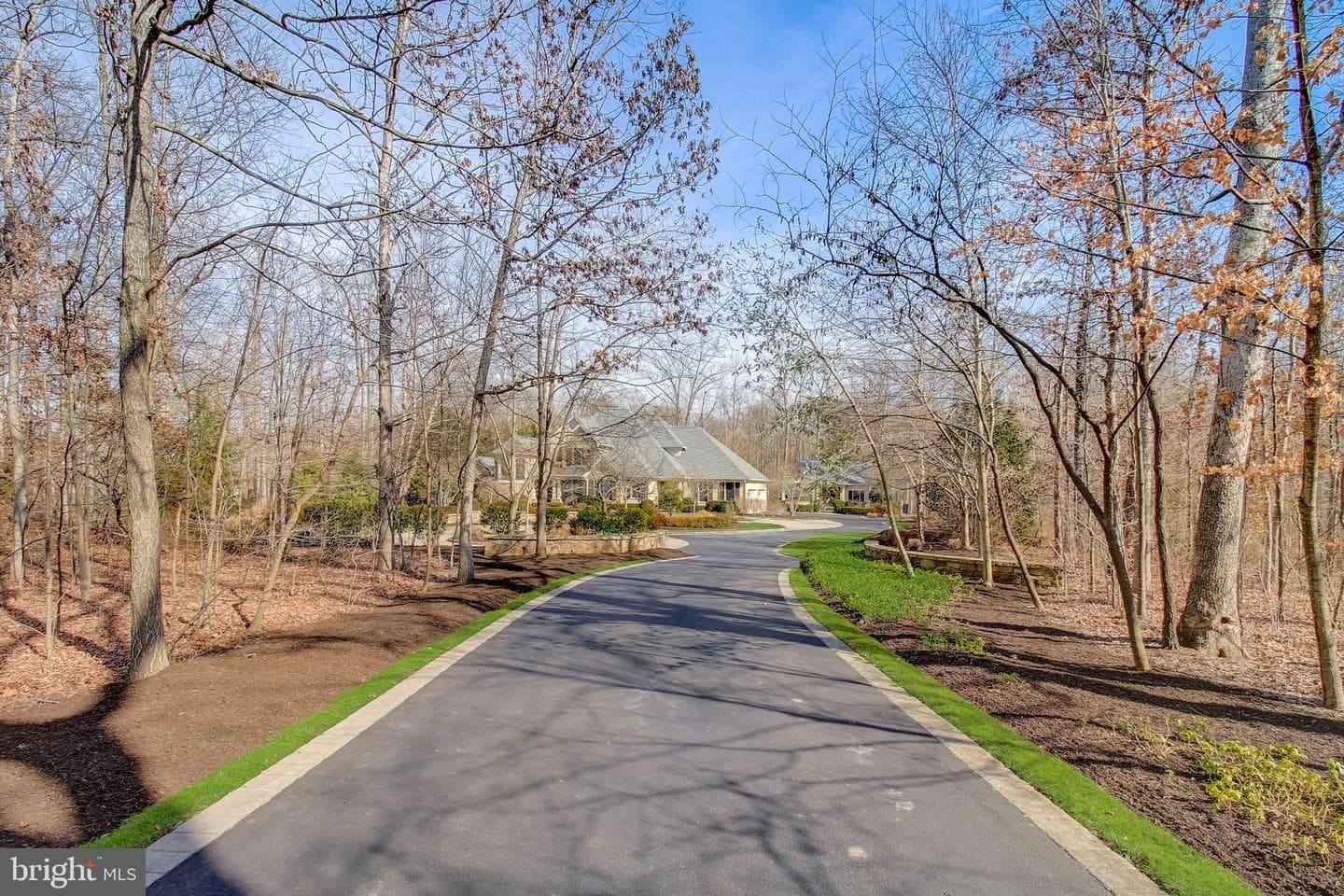 15619 Jillians Forest Way photo 10