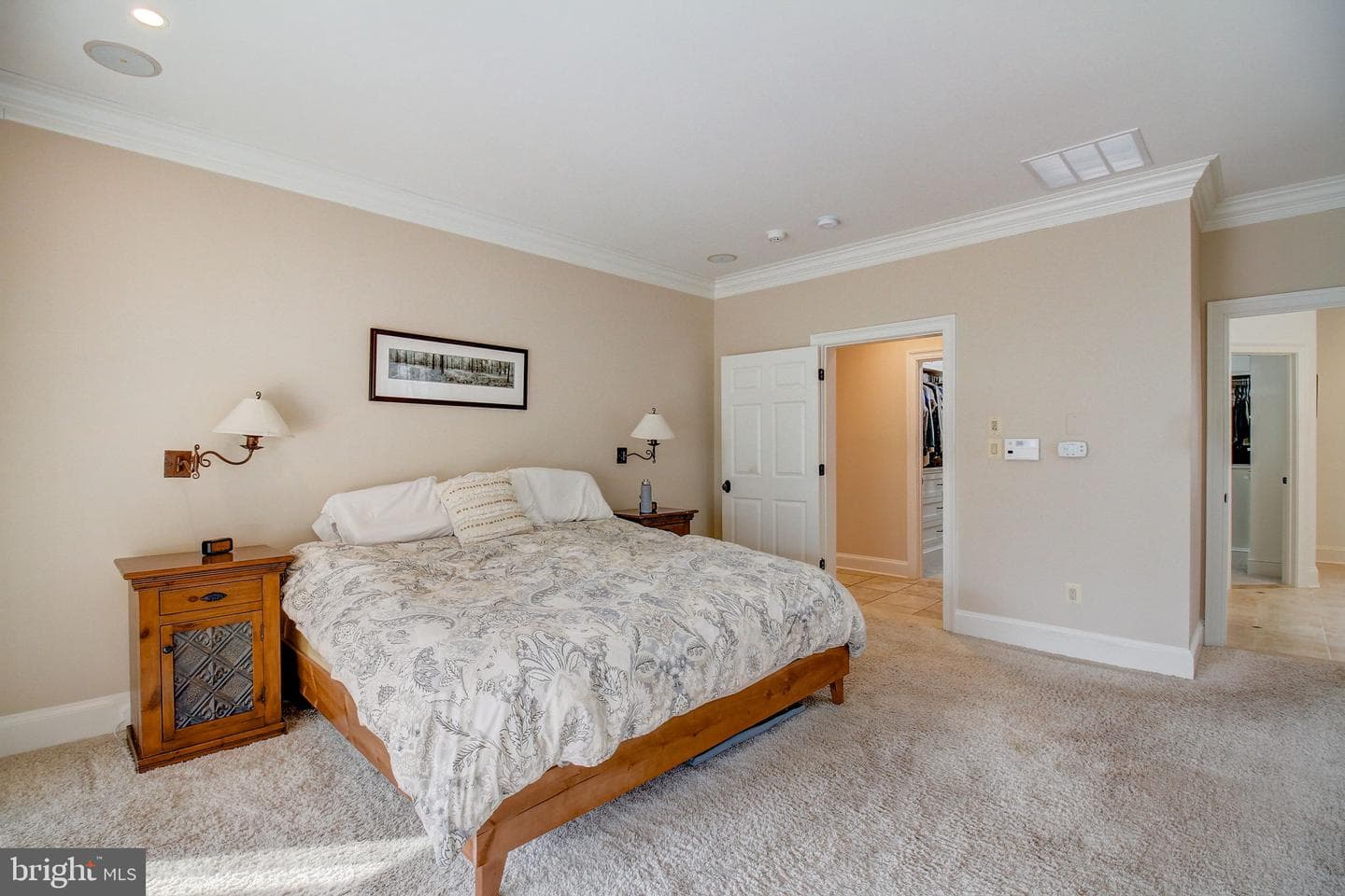 15619 Jillians Forest Way photo 40
