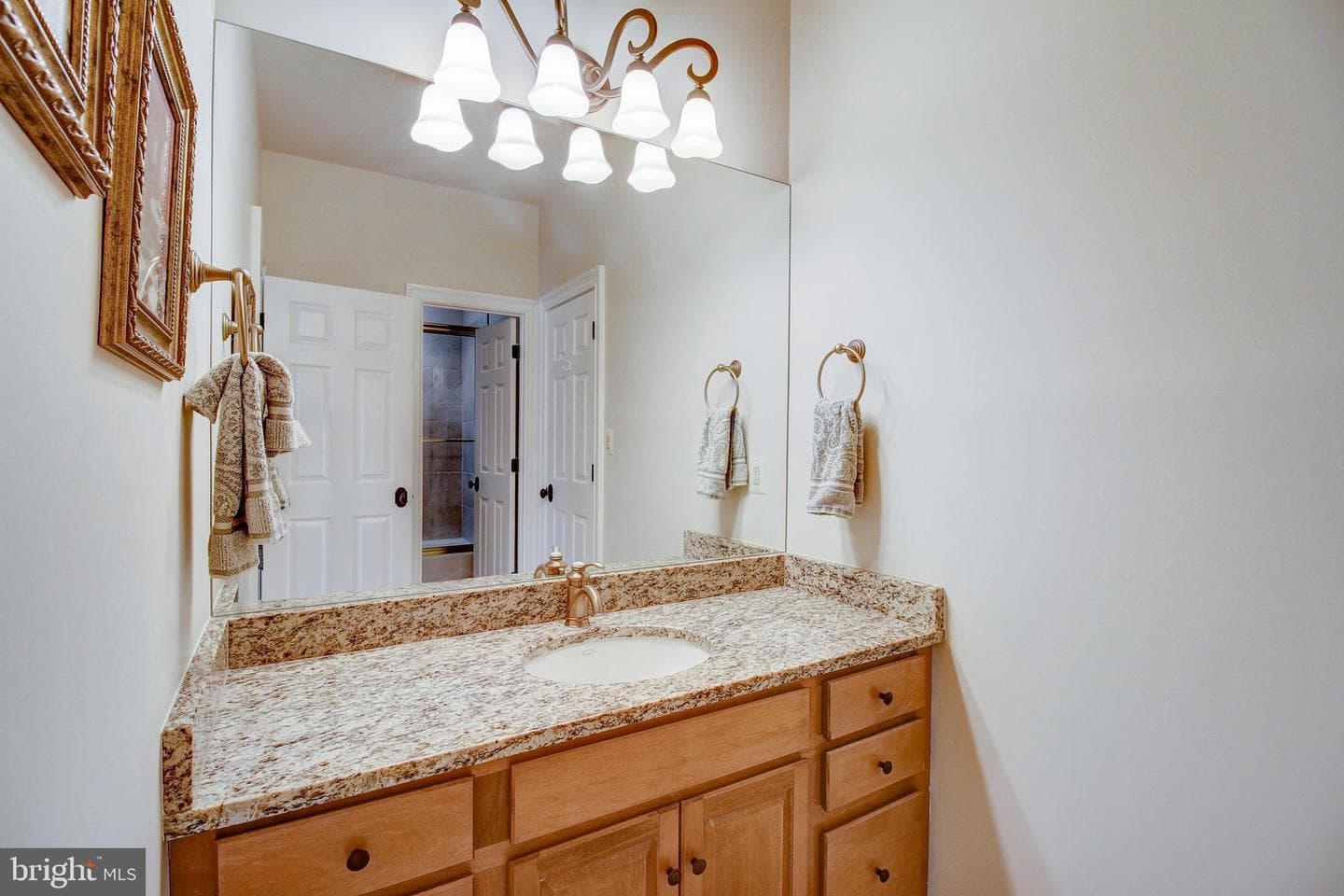 15619 Jillians Forest Way photo 51
