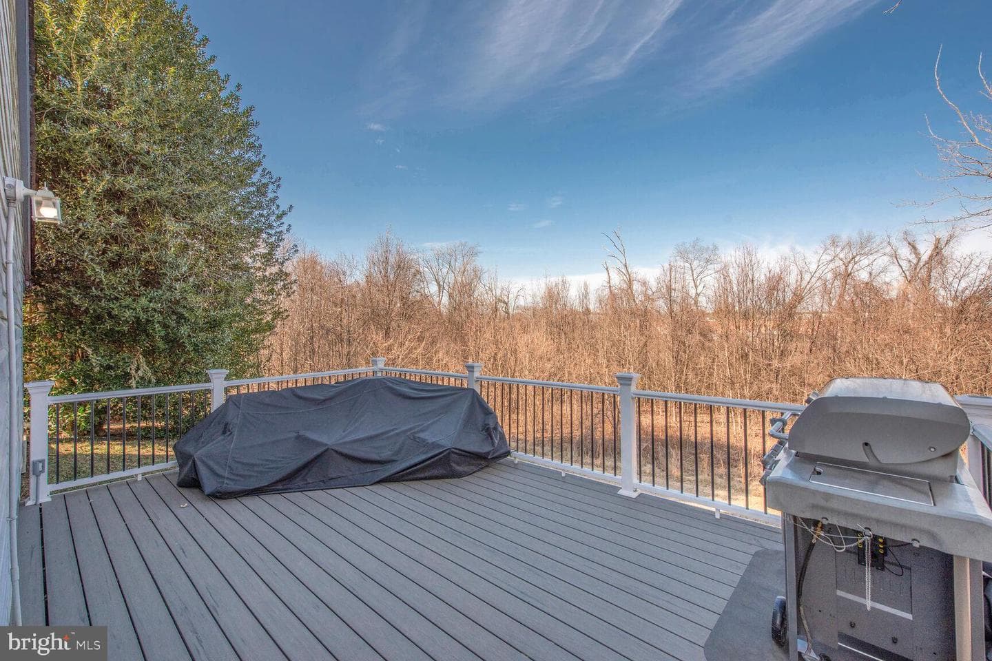 4303 Silas Hutchinson Drive photo 19