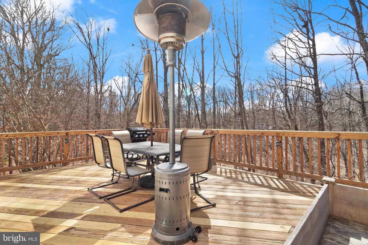 7318 Spring View Court photo 8