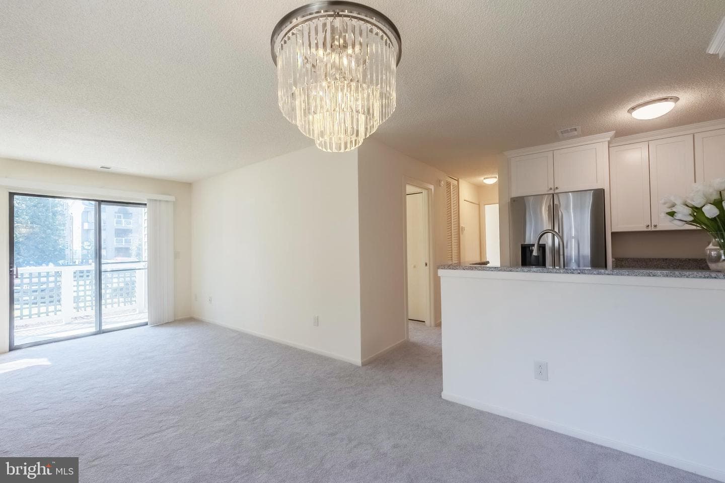 11731 Summerchase Circle photo 11