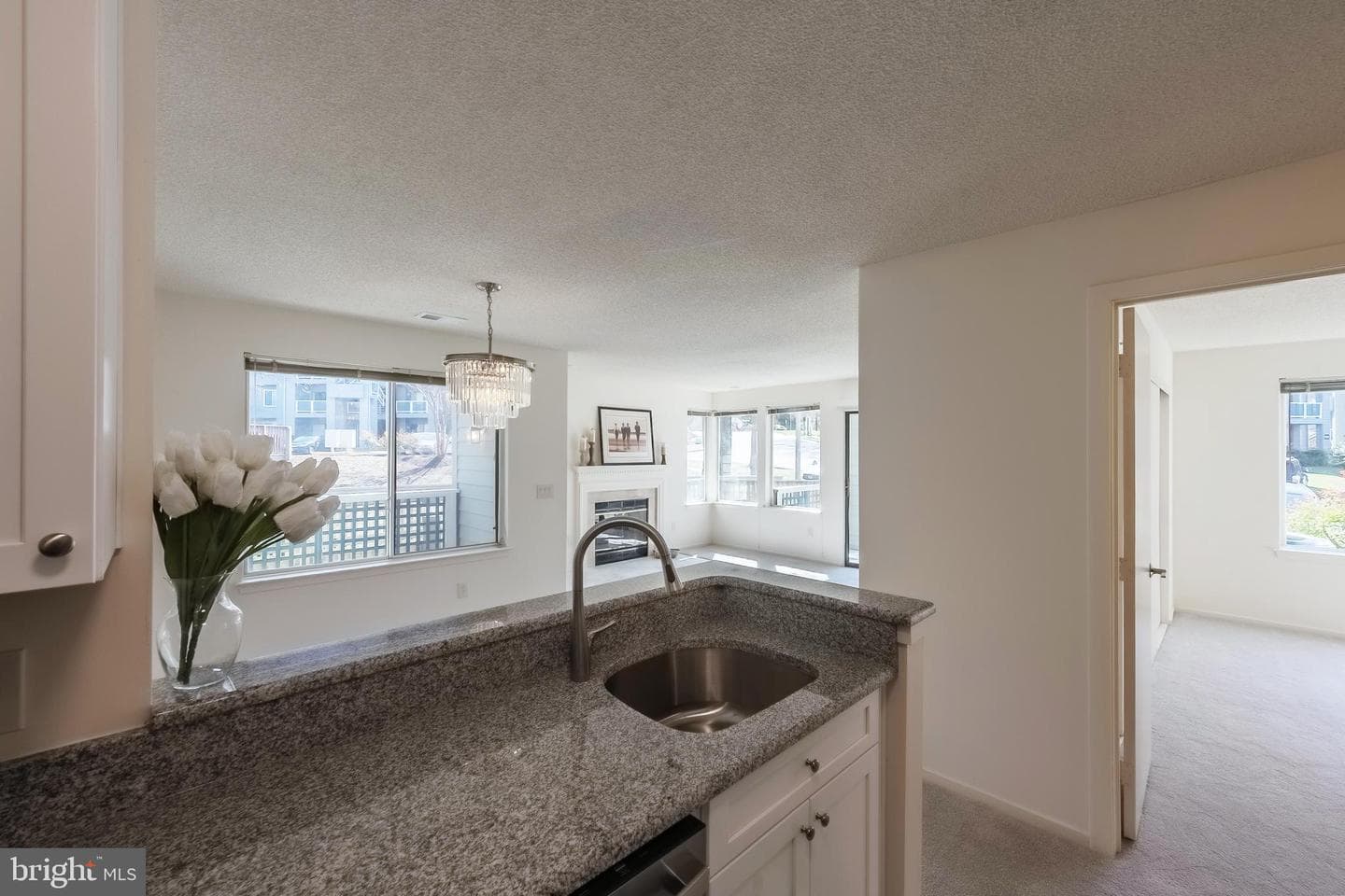 11731 Summerchase Circle photo 14