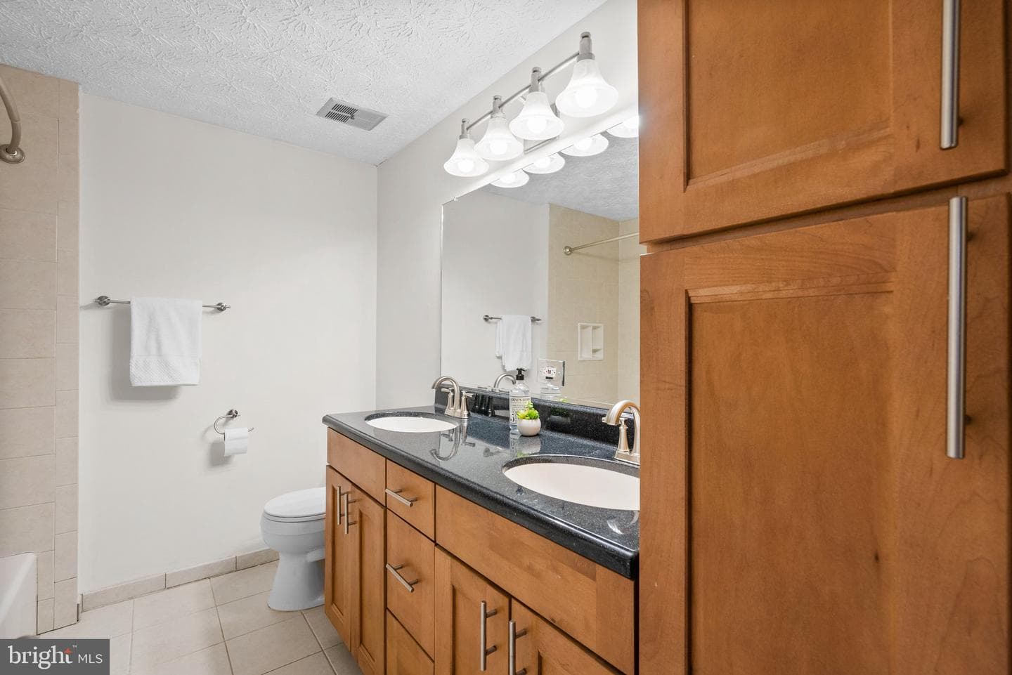 10321 Granite Creek Lane photo 27