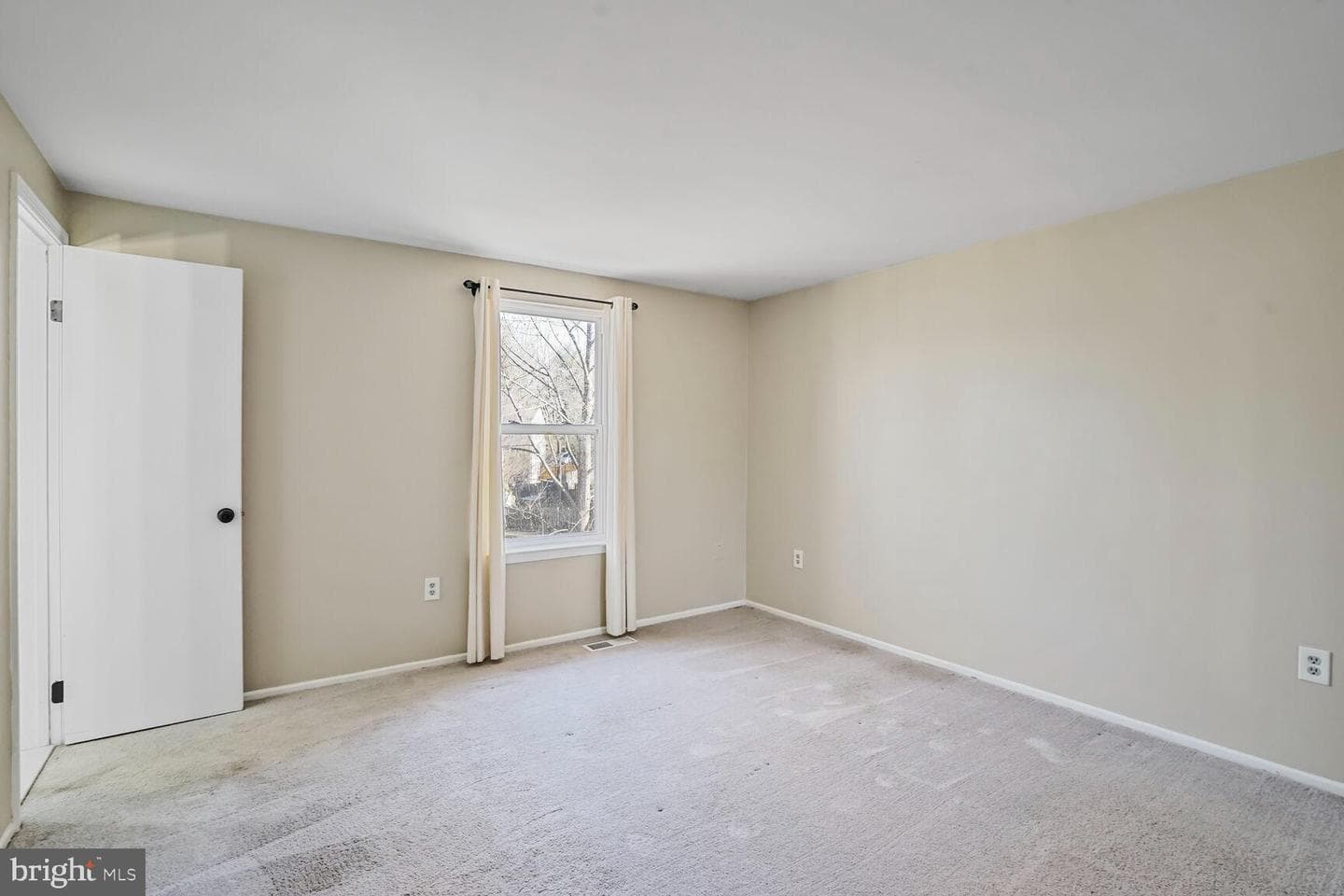 10100 Sassafras Woods Court photo 10