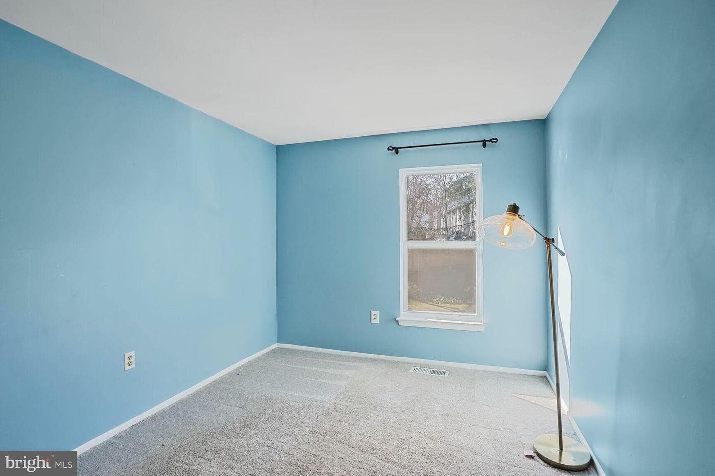10100 Sassafras Woods Court photo 12