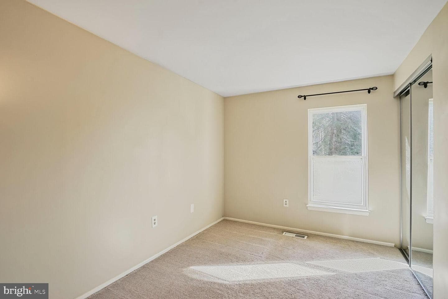 10100 Sassafras Woods Court photo 13