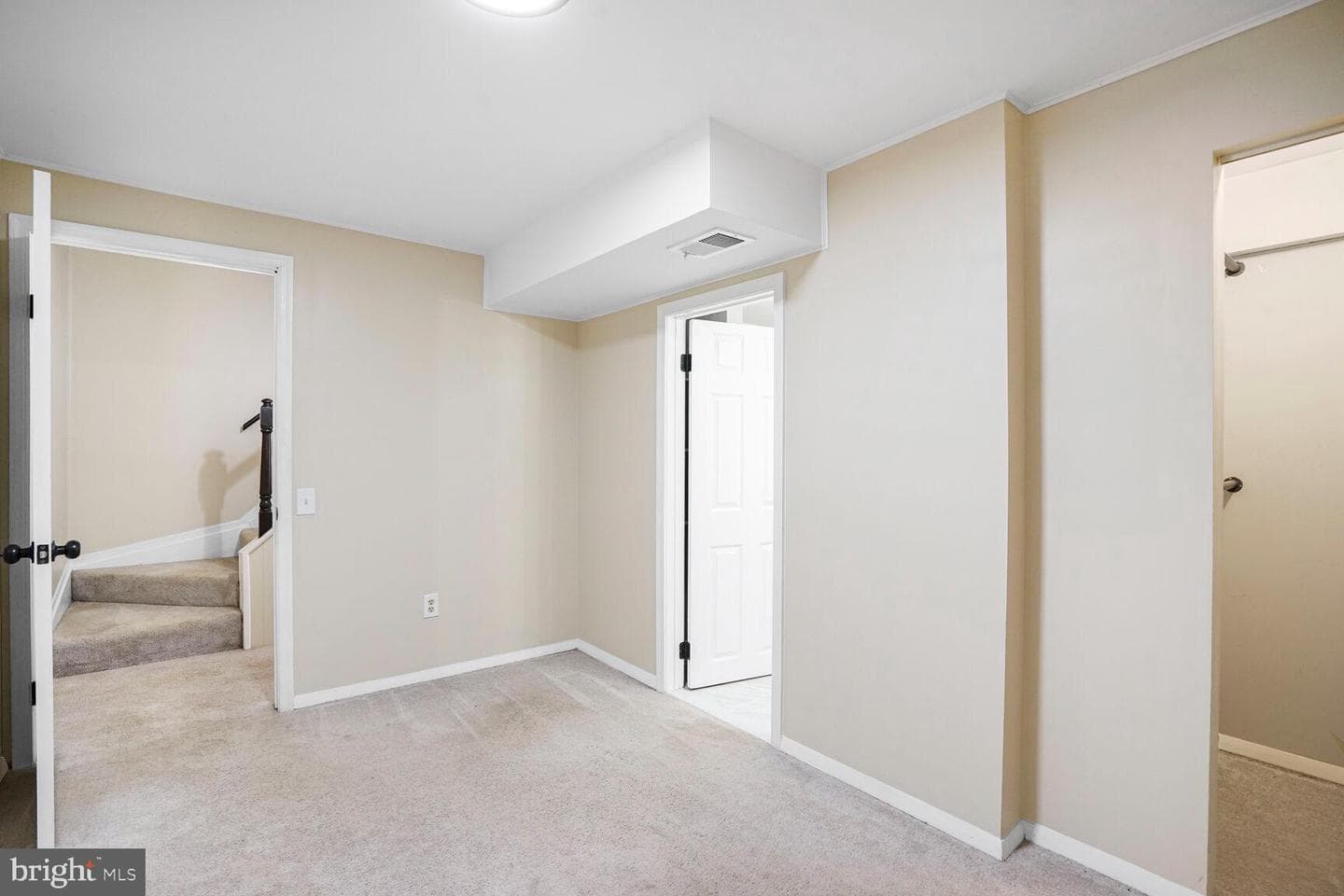 10100 Sassafras Woods Court photo 19
