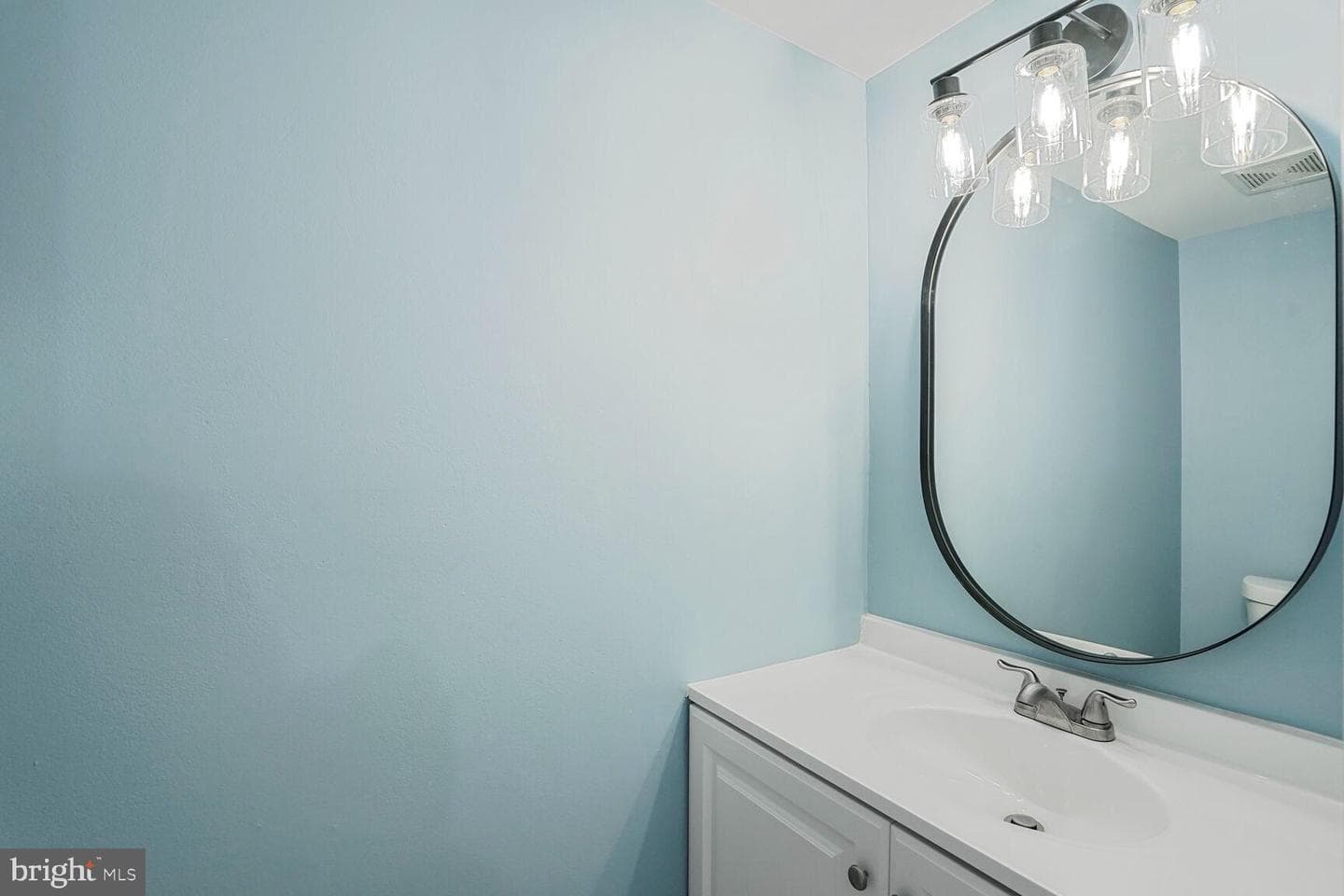10100 Sassafras Woods Court photo 9