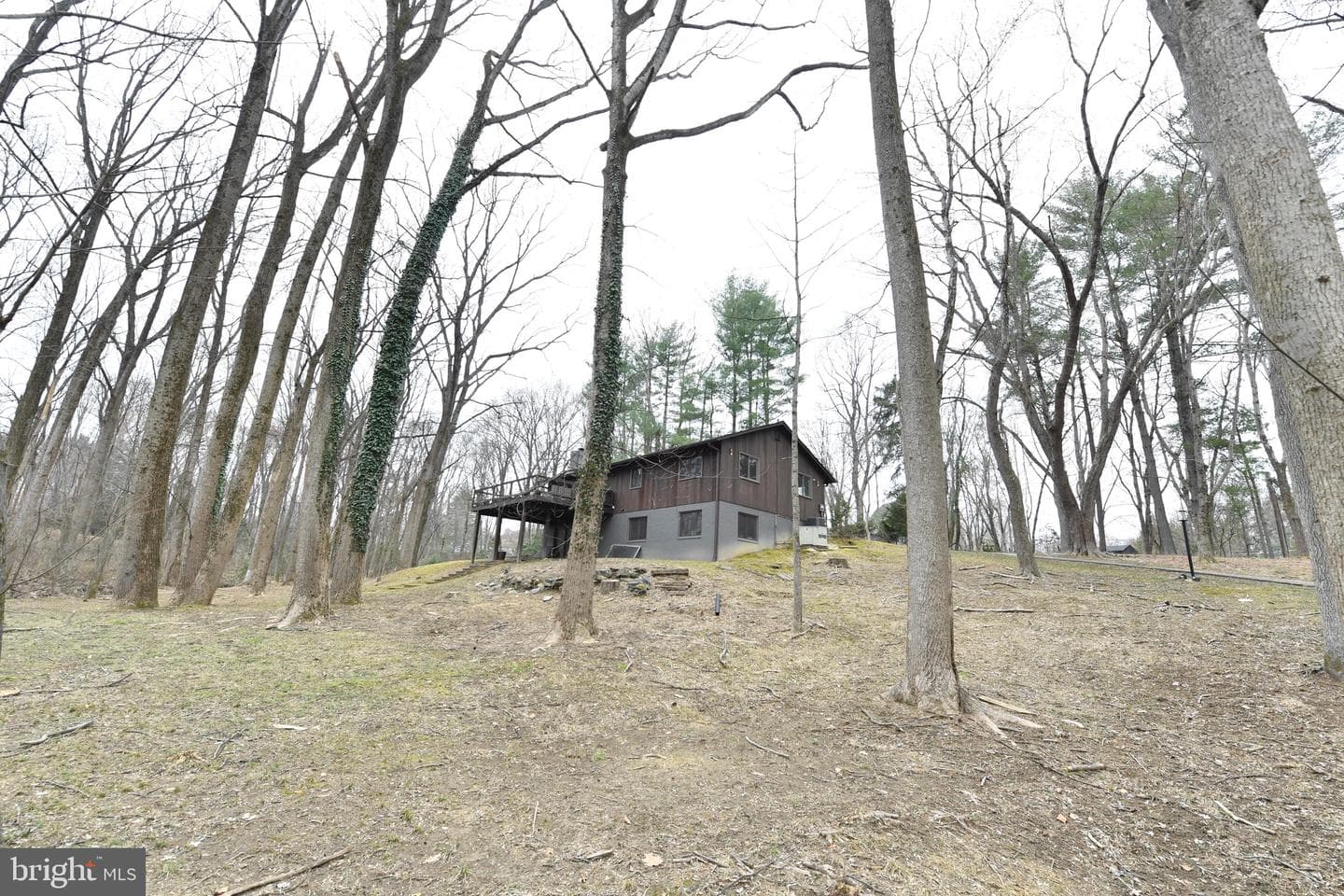 10209 Westford Drive photo 3