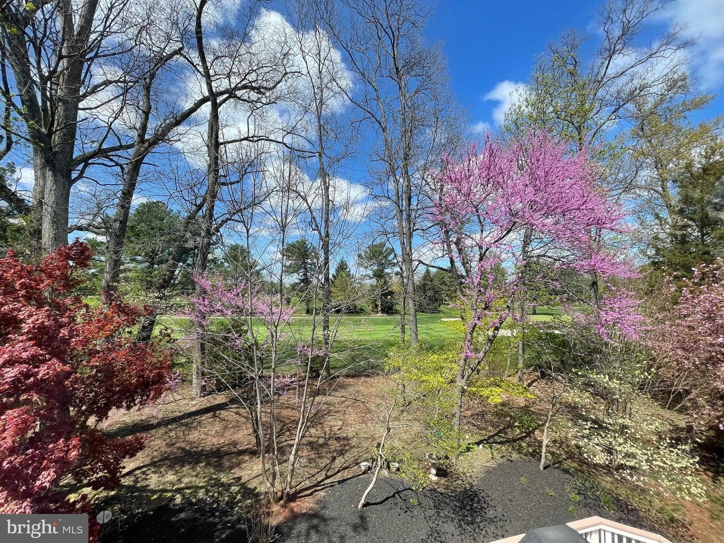 3824 Highland Oaks Drive photo 39