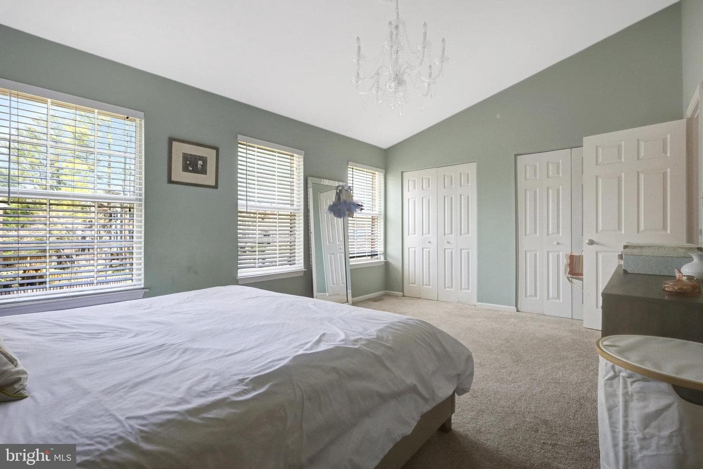 7049 Solomon Seal Court photo 15