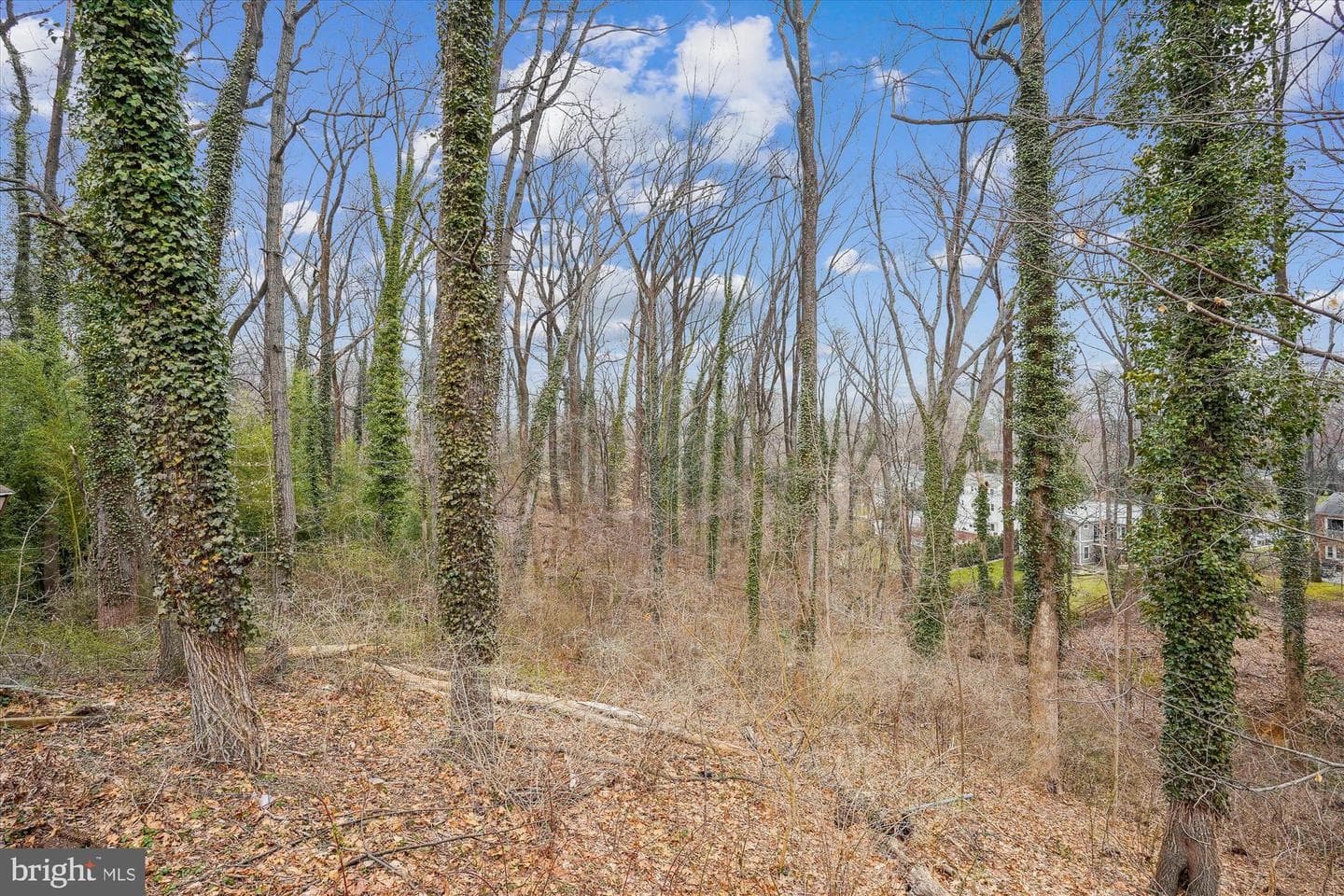6340 Dogwood Place photo 4