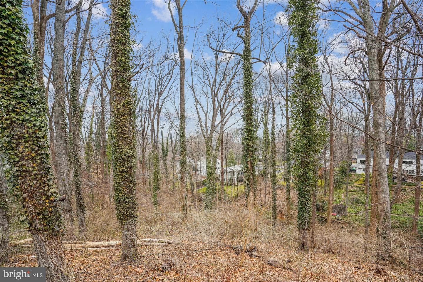 6340 Dogwood Place photo 5
